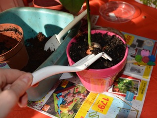 Set de jardinage urbain Fiskars - Griffe