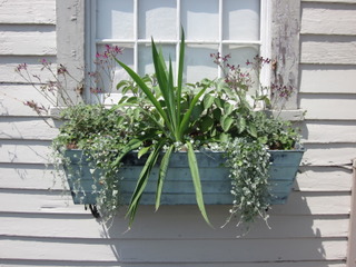 Jardinière harmonieuse