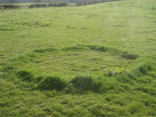 Rond de sorcière dans une prairie