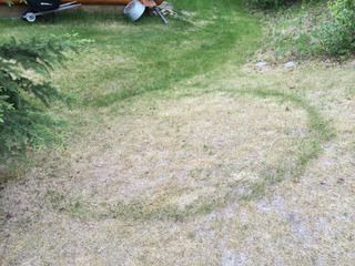 Rond de sorcière