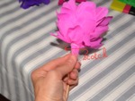 Fixation de la fleur sur la tige