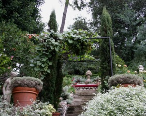 Végétation étagée autour d'un escalier