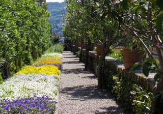 Bordure fleurie et haies de lauriers roses