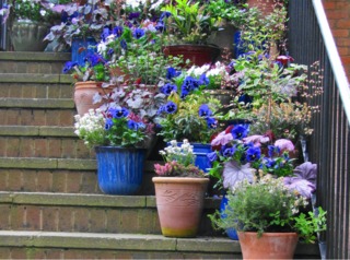 Pots dans un escalier