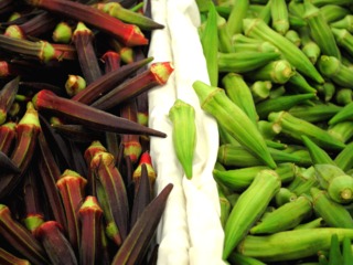 Gombo (okra) : variété rouge et variété verte
