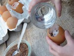 Arrosage des oeufs