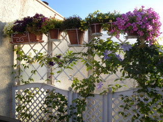 Jardin vertical