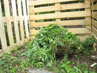 Compostage des mauvaises herbes