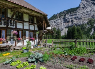 Potager en montagne