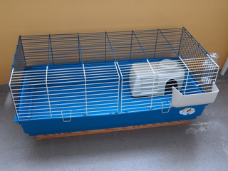 Cage pour cochon d'Inde