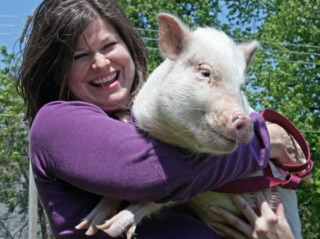 Cochon nain de compagnie