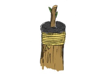 Ligature et mastic