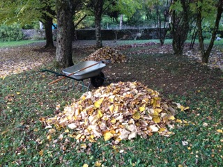 Ramassage de feuilles mortes au râteau