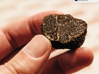 Truffe coupée en deux