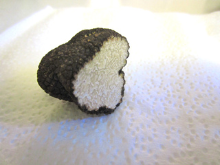Truffe d'été, Tuber aestivum