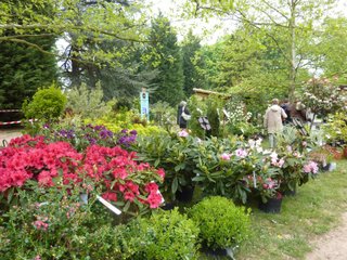 Fête des plantes