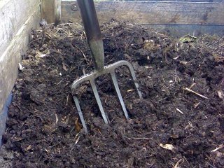 Amender le potager