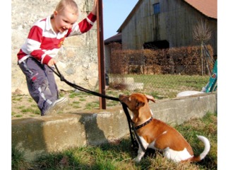 Enfant et son chien