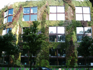 Façade végétalisée du musée du Quai Branly, Paris