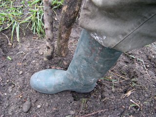 Tassement de la terre au pied