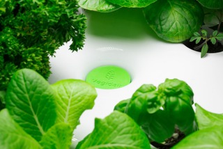 Vegidair : cartouche de plante