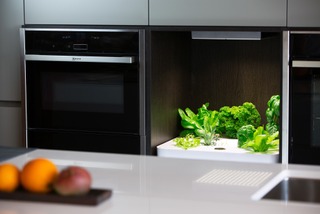 Vegidair : potager électroménager