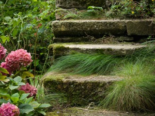 Viel escalier en pierres