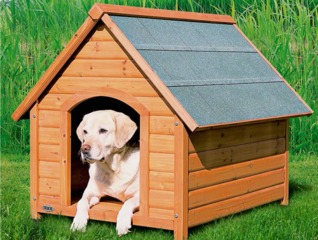 Niche pour chien, style chalet, en bois