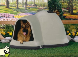 Niche Indigo pour chien en plastique, forme igloo