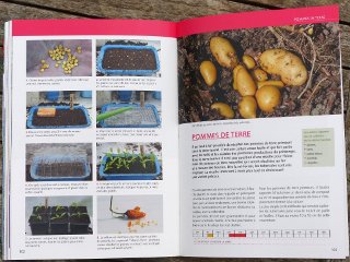 Cultiver les légumes sous serre et autres abris : Serres, tunnels, châssis, voiles...