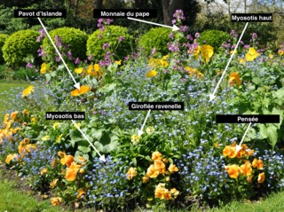 Plantes composant le massif