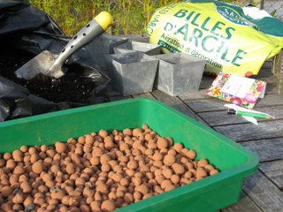 Caissette pour semis avec lit de billes d'argile
