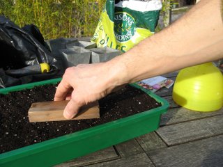 Tassement de la terre dans la caissette