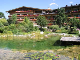 Piscine naturelle dans une résidence