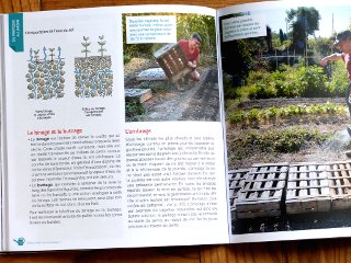 J'économise l'eau au potager