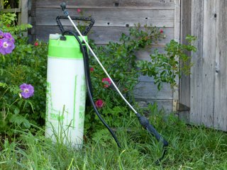 Pulvérisateur de jardin à pression