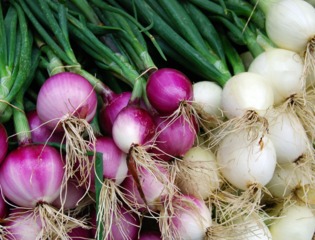 Oignons rouges et blancs à consommer frais
