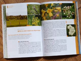 40 promenades botaniques pour ne plus jamais confondre narcisses et jonquilles