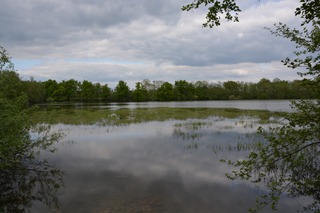 Les étangs des Dombes (Ain)