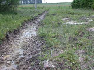 Drainage d'une zone humide en Belgique