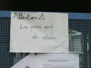 Poux à l'école