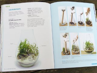 Mini-jardins de verre et terrariums déco