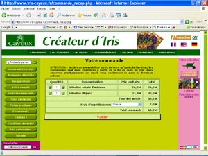 iris cayeux : panier