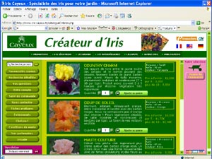 iris cayeux : le site