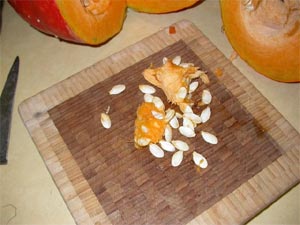 récupération des pépins de potiron