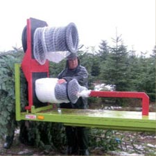 Mise en filet de sapins