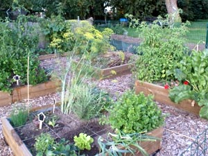 Au pied du pommier - D.R. - http://aupieddupommier.lalibreblogs.be
