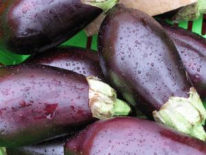 Aubergines