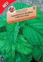 Basilic neapolitanique sperlings pepe