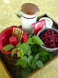 Ingrédients pour le bavarois à la framboise